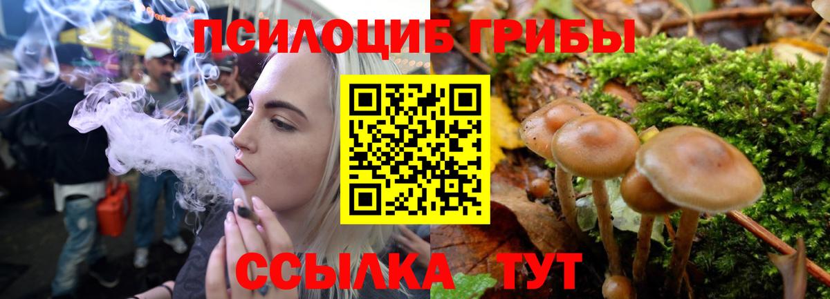 Галлюциногенные грибы мицелий Гурьевск