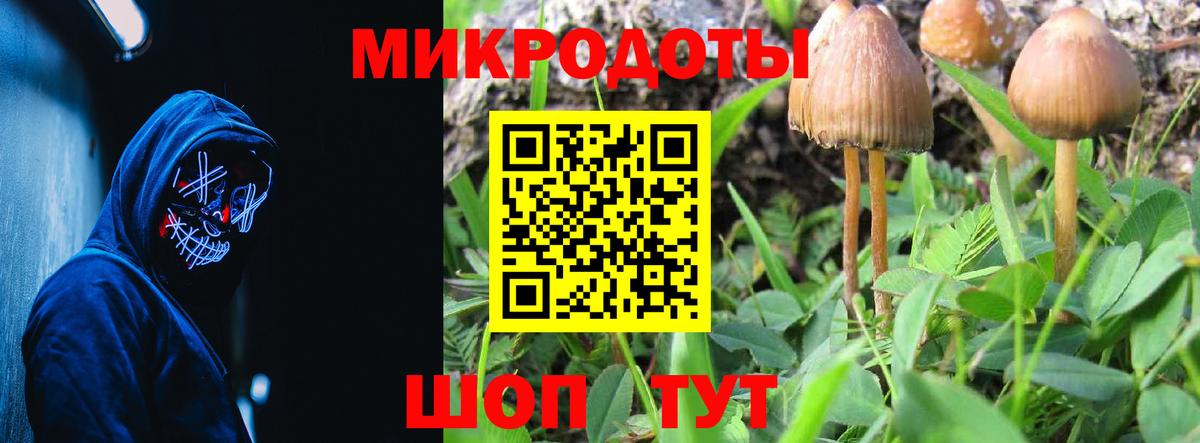 Галлюциногенные грибы мицелий  Вход с VPN  Галлюциногенные грибы мухоморы  Гурьевск 